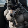 Sir WoofWolf