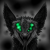 saraconor